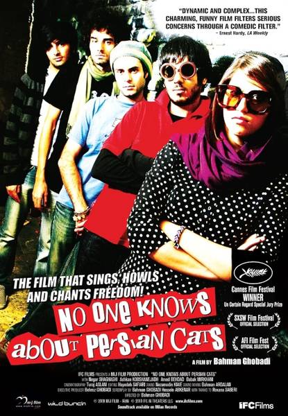 2026 no one knows about persian cats